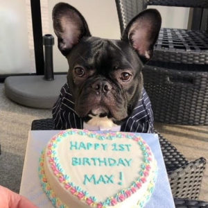 Doggy Birthday Cakes